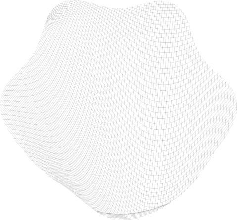 او بود