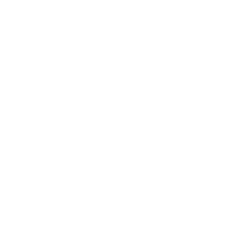 او بود