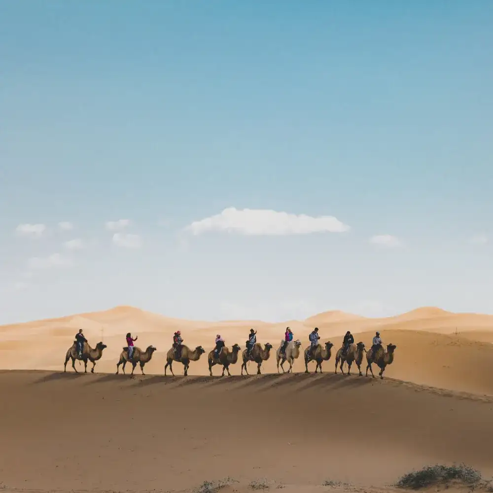 مدارس عالی و سرگرمی